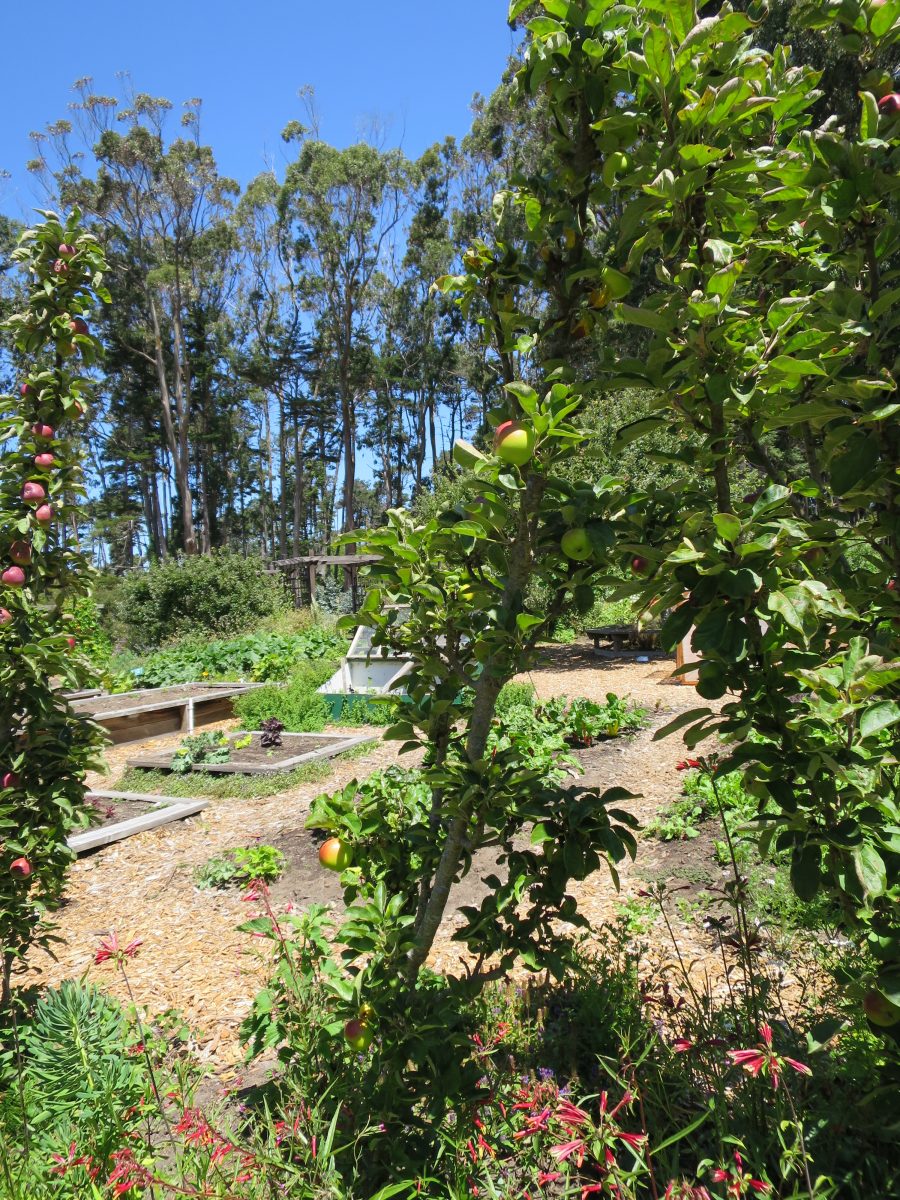 Botanical garden farm