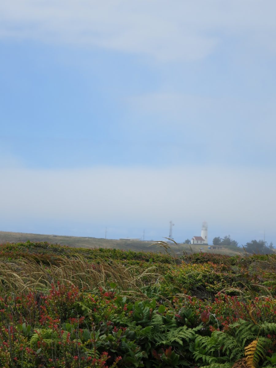 Approaching the Lighthouse