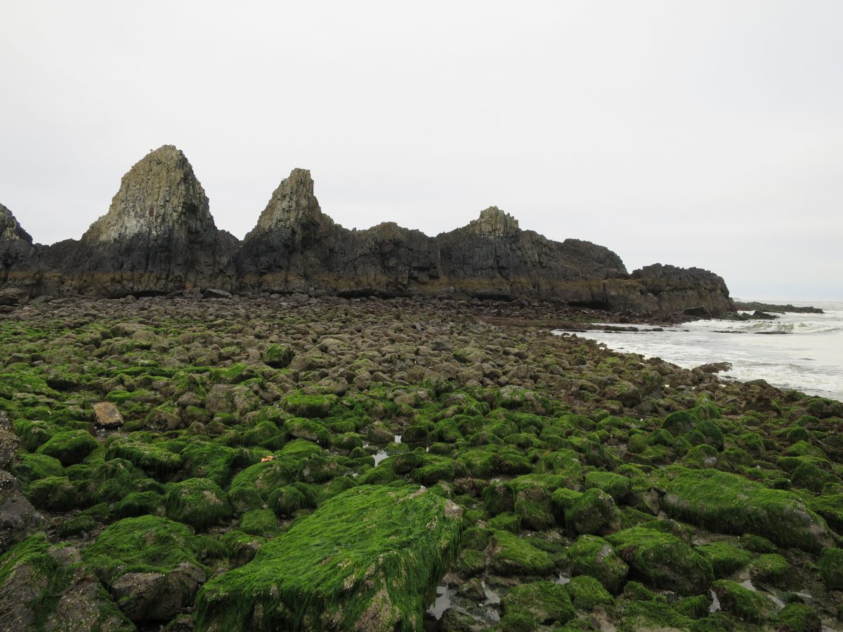 Spectacularly green