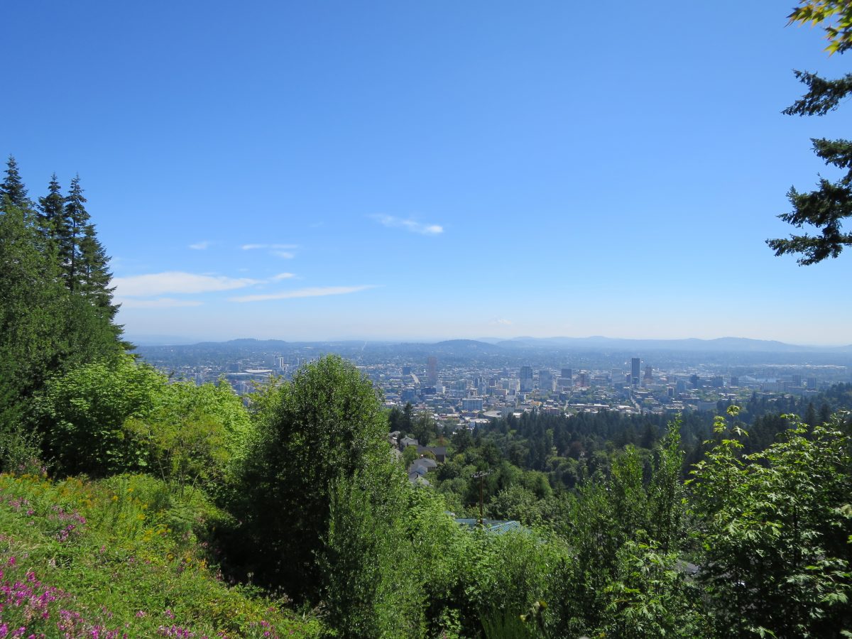 Henry's view