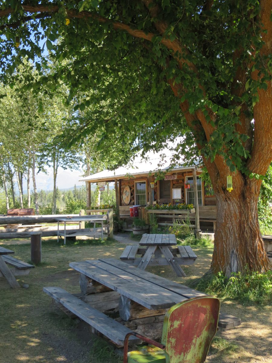 Northern Lights Saloon