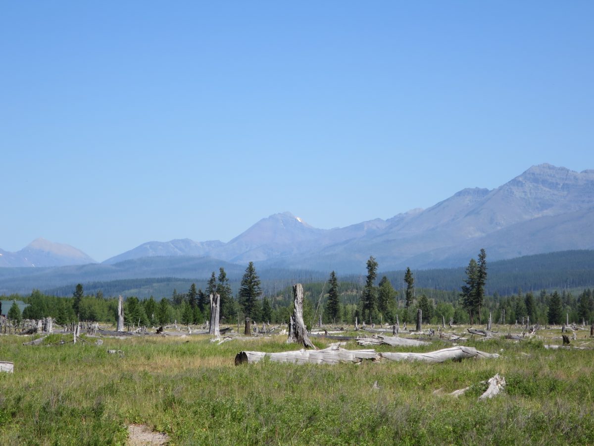 Another pretty glacial view