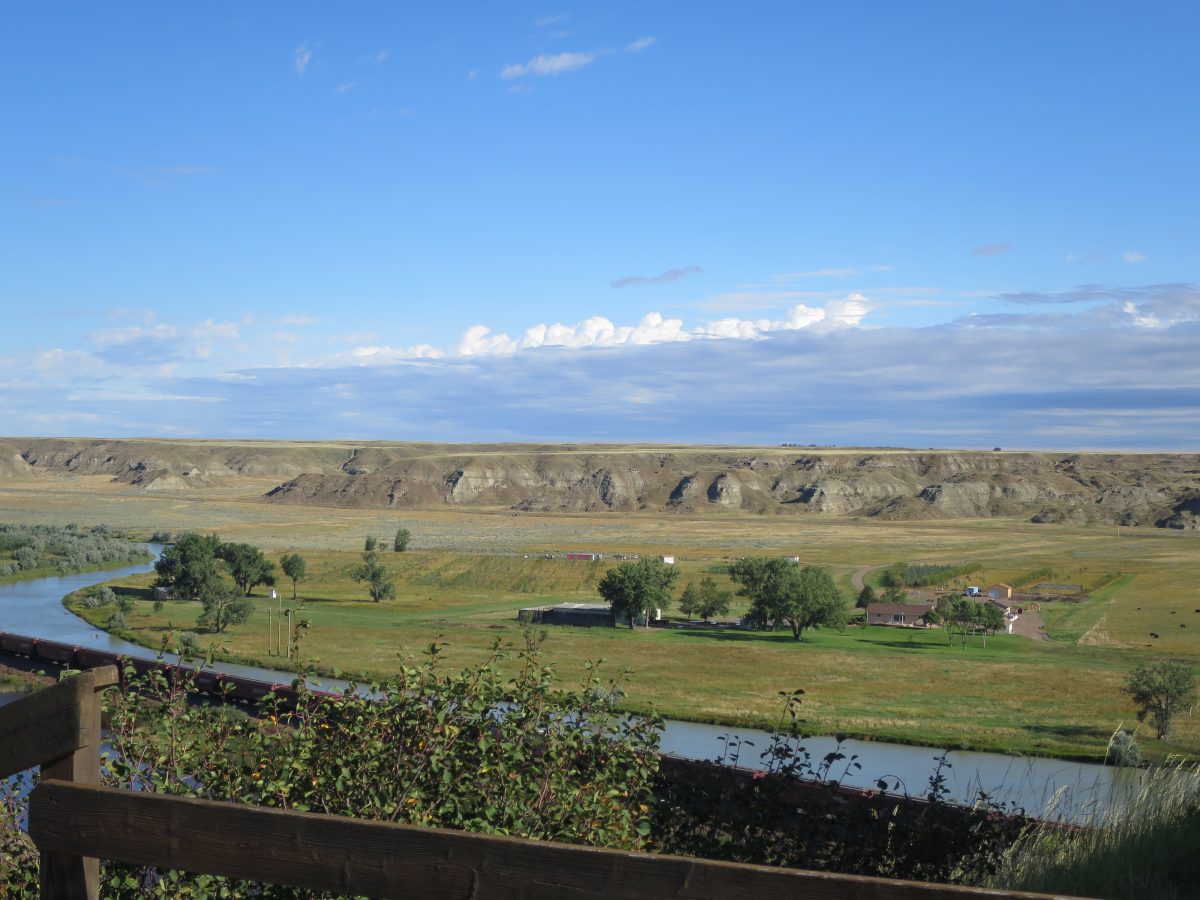 Buffalo death view