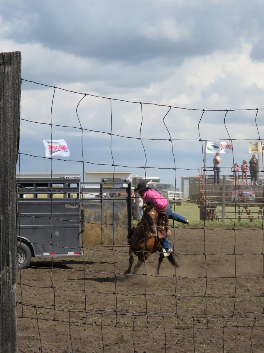 Mount the horse