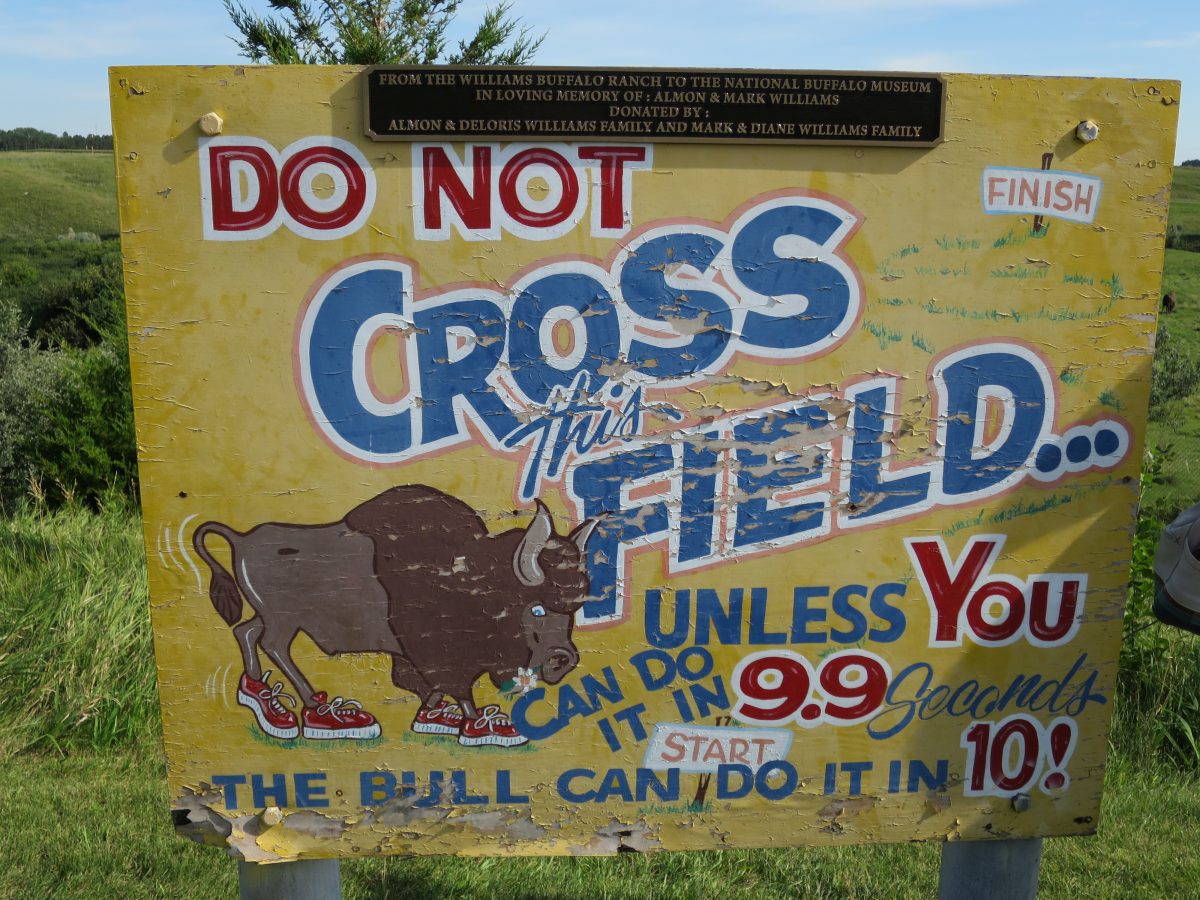 Buffalo Museum