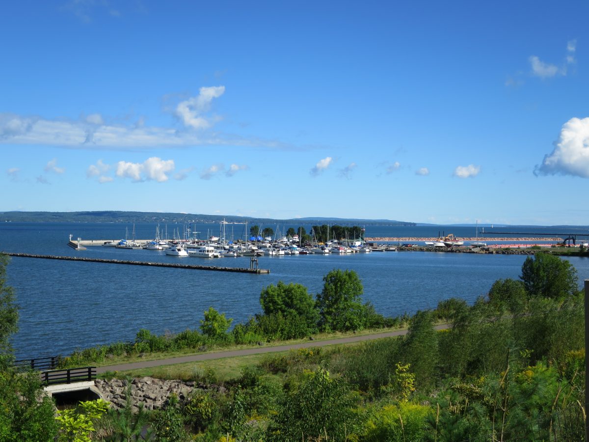 The harbor