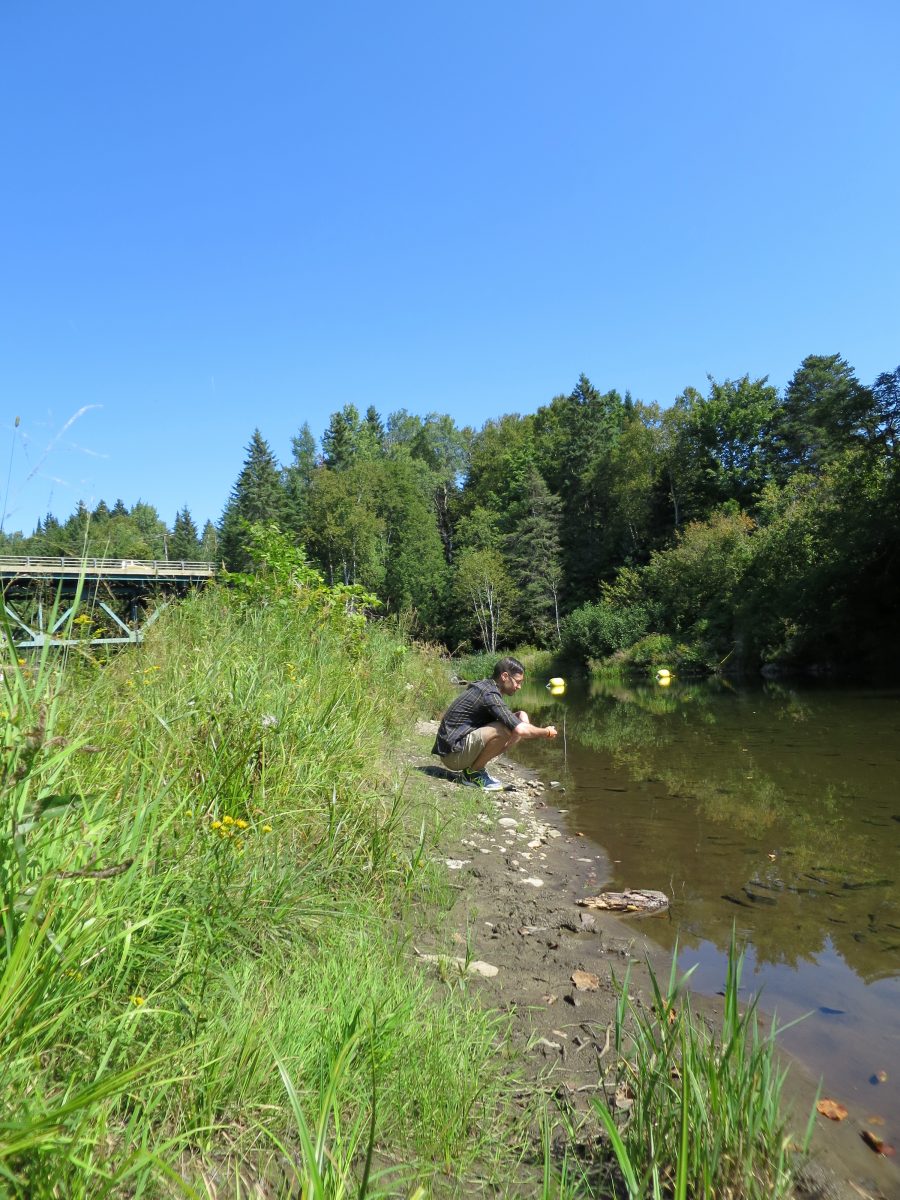 Doom and Skipping Stones