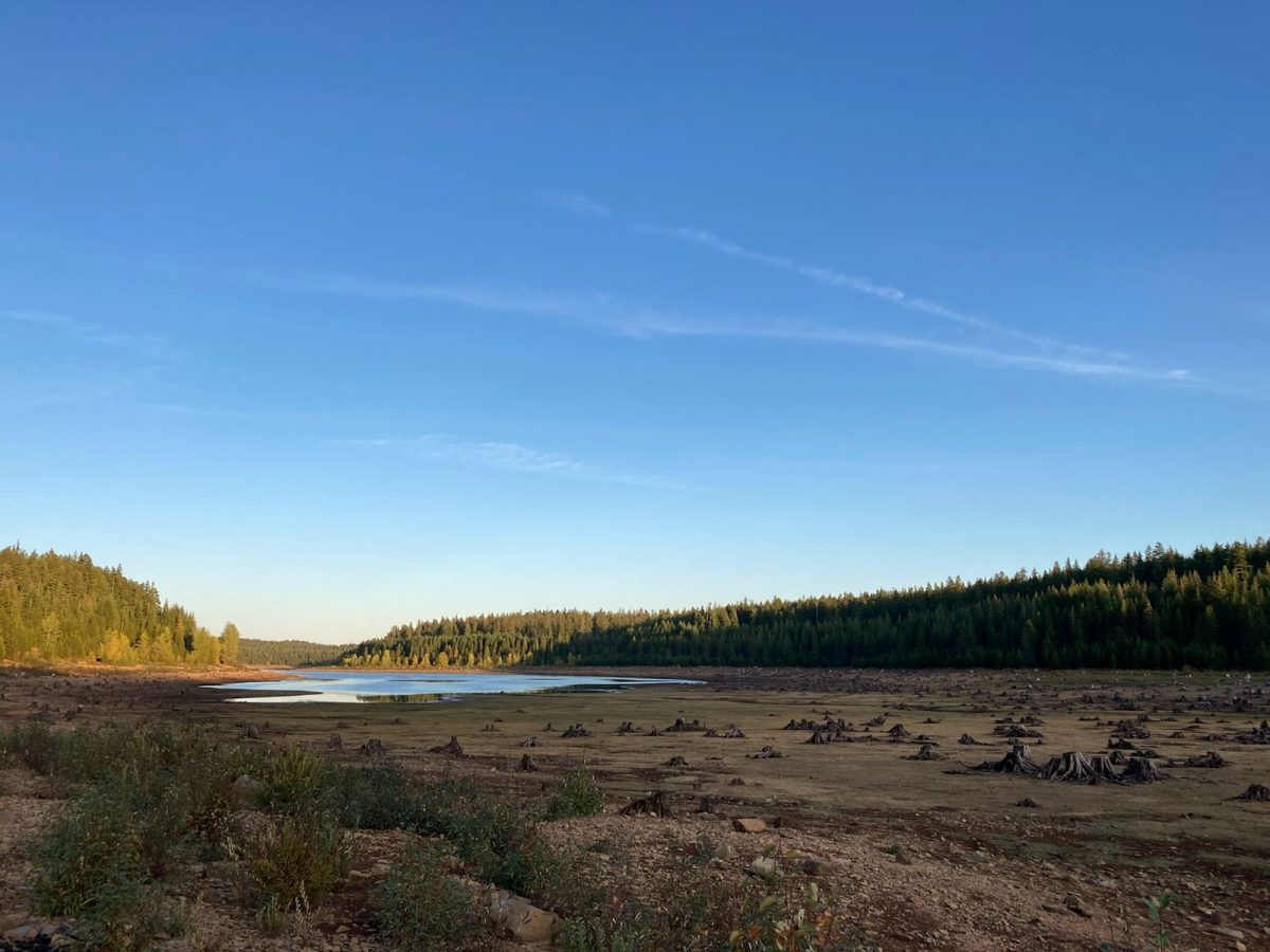 A picture of a lake with the sun glancing off the surface. In the background, a forest basks in the warmth of the sun's final rays. In the foreground is a large swath of dried-out lakebed, dotted with the eerie remains of tree trunks.