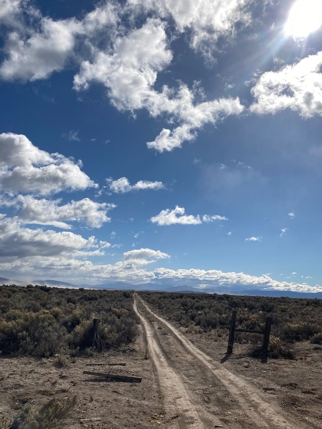 A dirt road stretching toward distance mountains in the high desert or eastern Oregon.